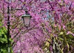 Le printemps, c'est maintenant !